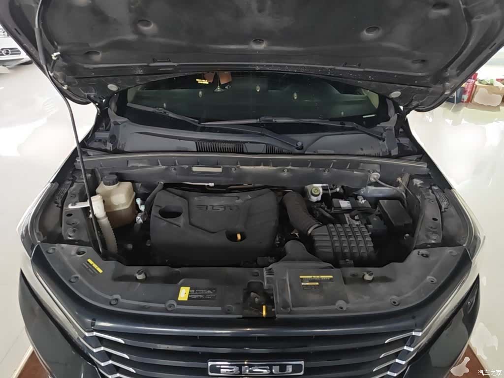 Bisu T5, 2018 20