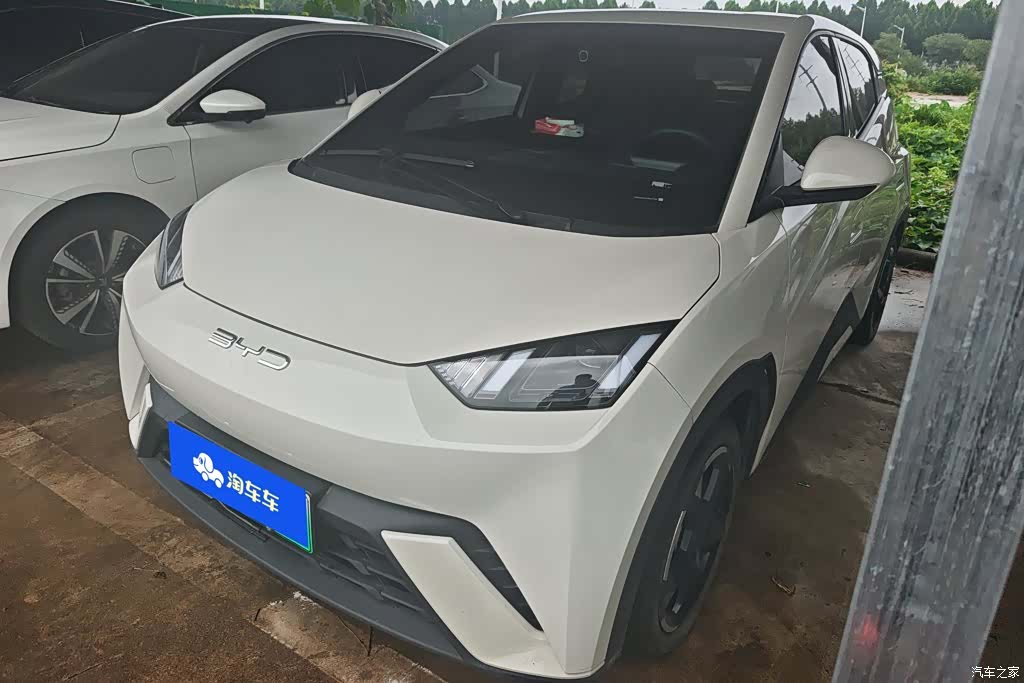 BYD Seagull, 2024 1
