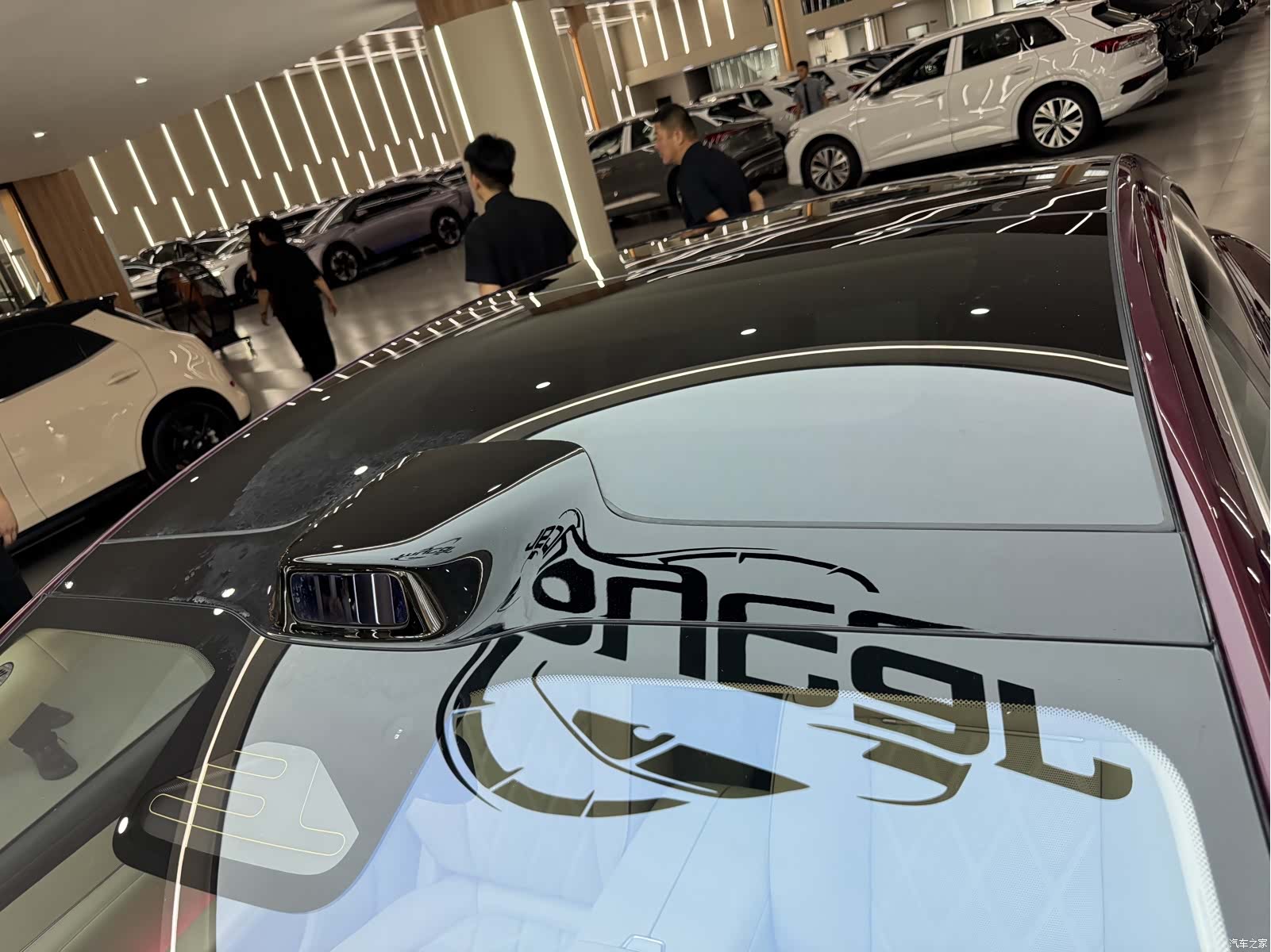 Stelato S9, 2025 44