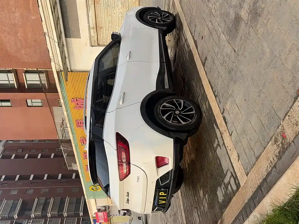 Zotye T300