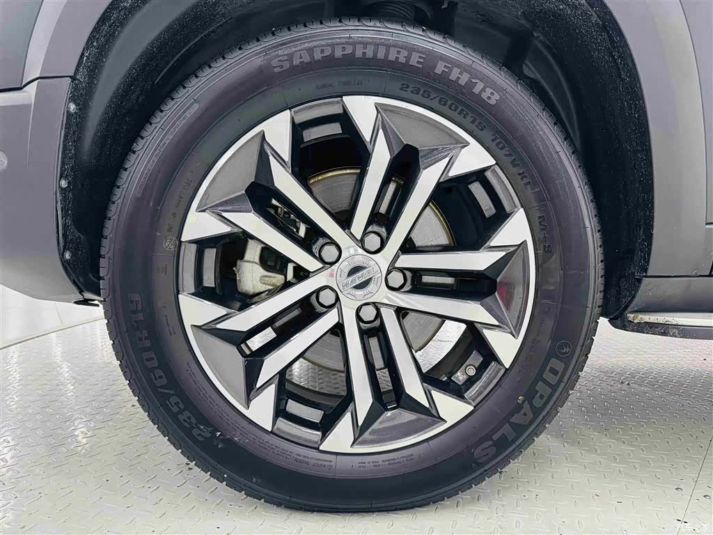 Haval Big Dog, 2022 10