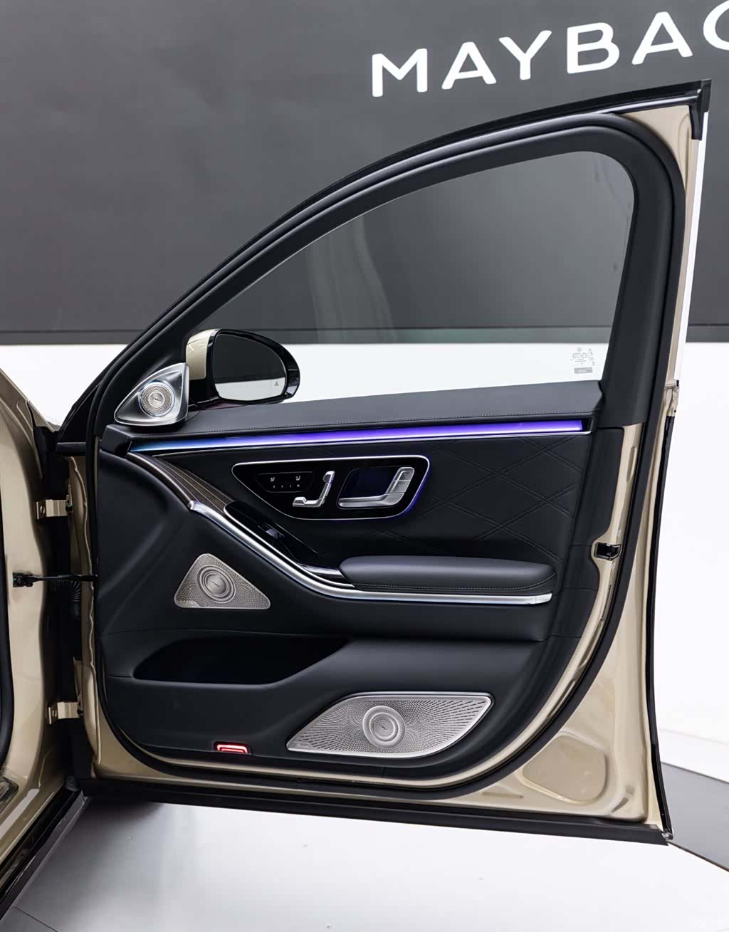 Maybach S-Class, 2022 18