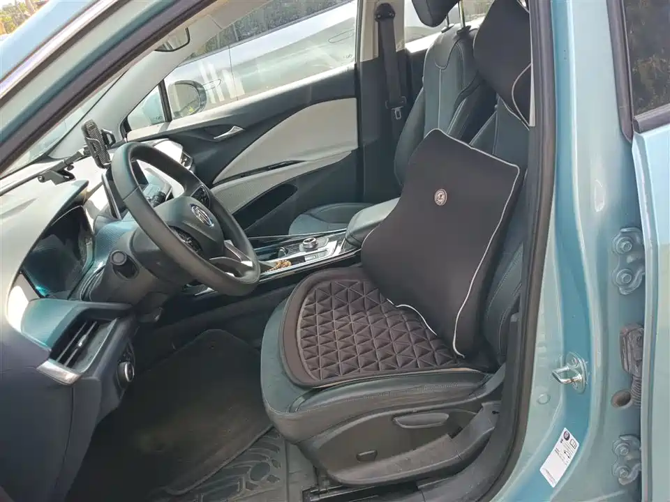 Buick Slightly blue 6