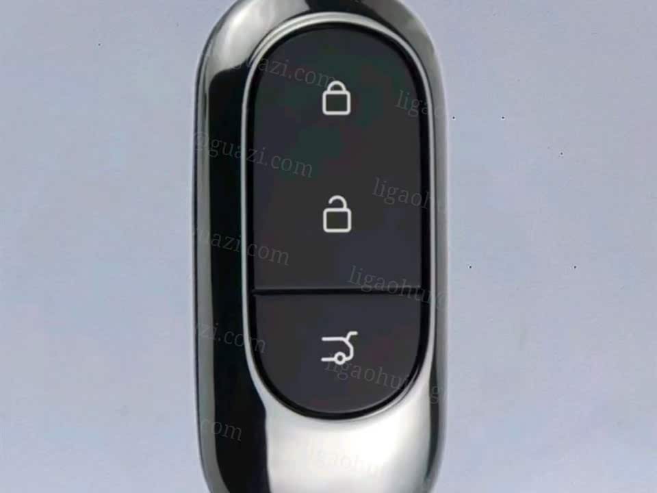 Leapmotor C11 Leapmotor C11
