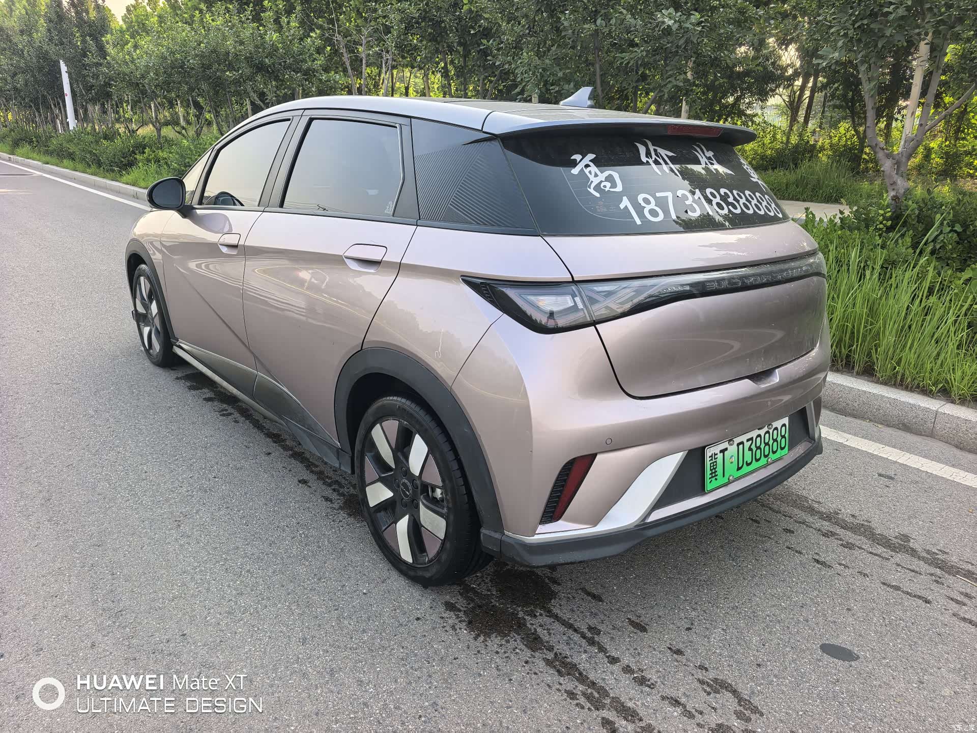 BYD Dolphin, 2022 6