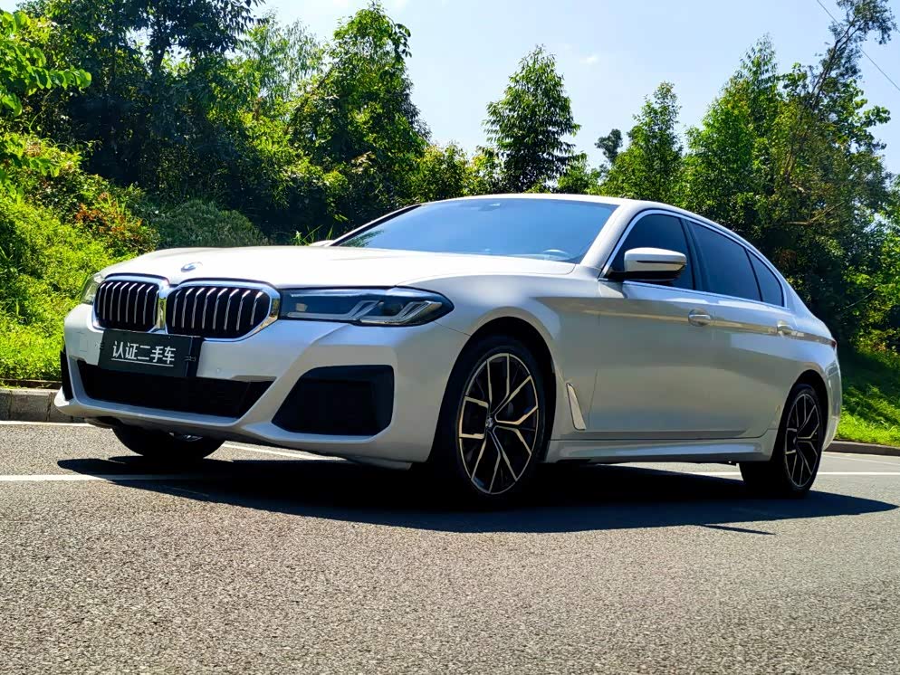 BMW 5 Series 5 2022 530Li Premium M Sport