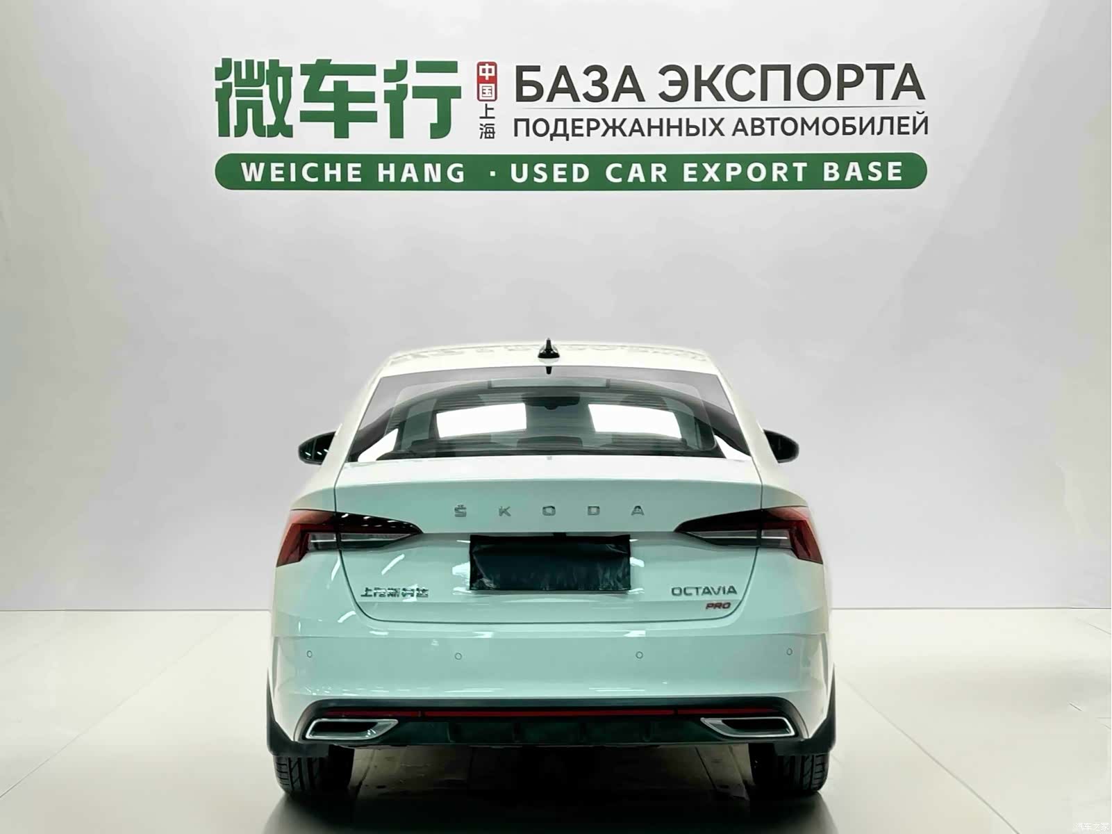 Skoda Octavia, 2023 все фото