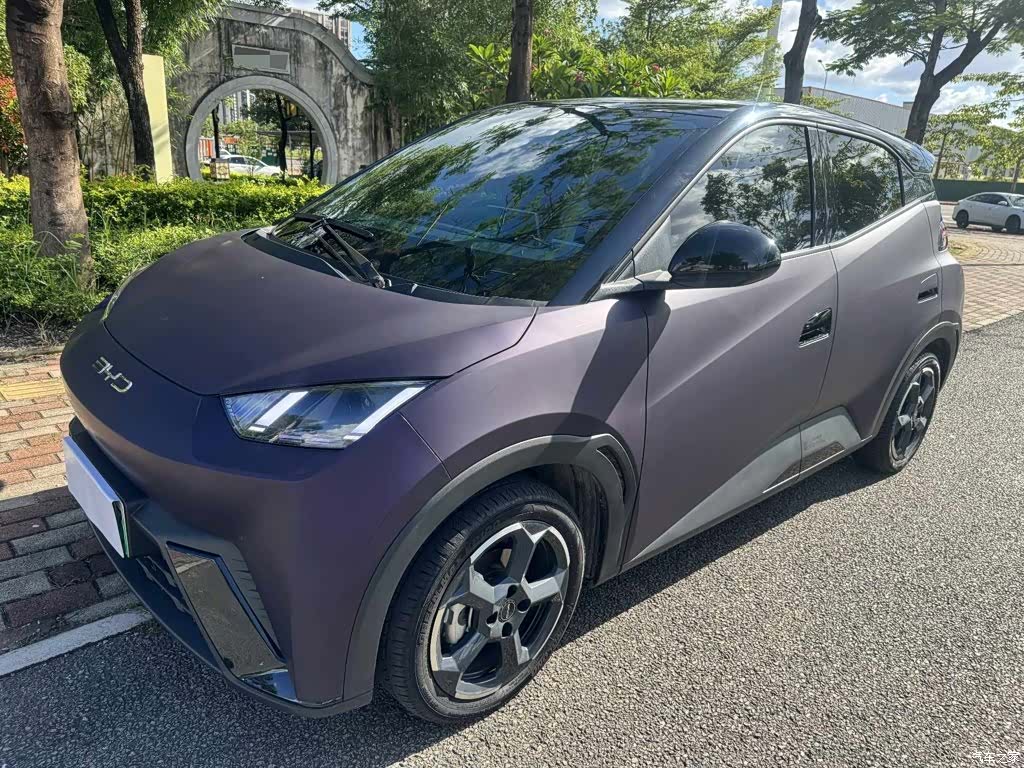 BYD Seagull, 2024 1