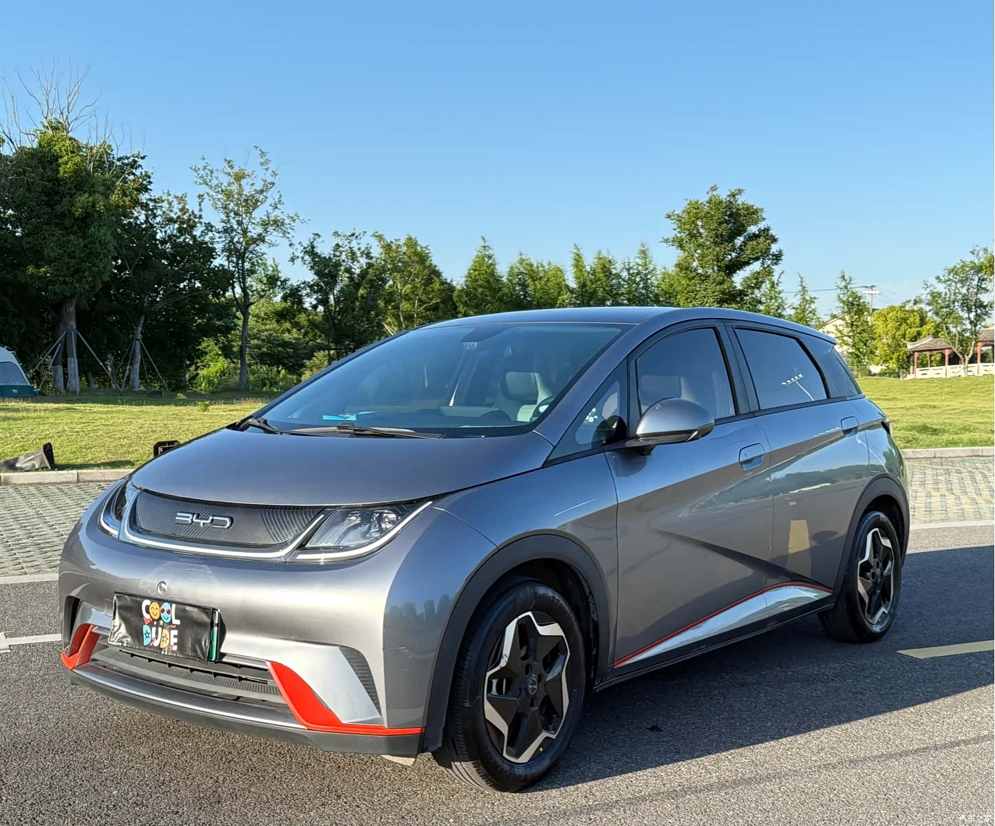BYD Dolphin, 2022 1