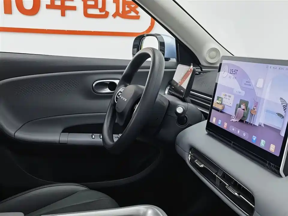 Dongfeng Nammi Nano 01