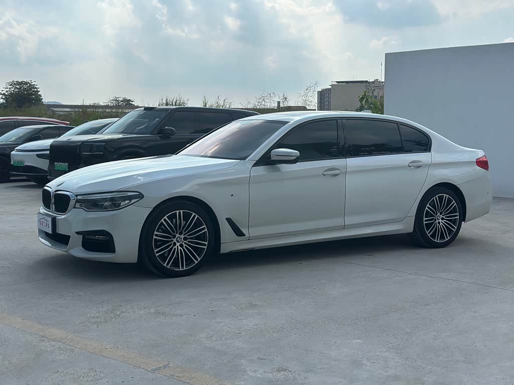 BMW 5 Series 5 2019 530Li Premium M Sport