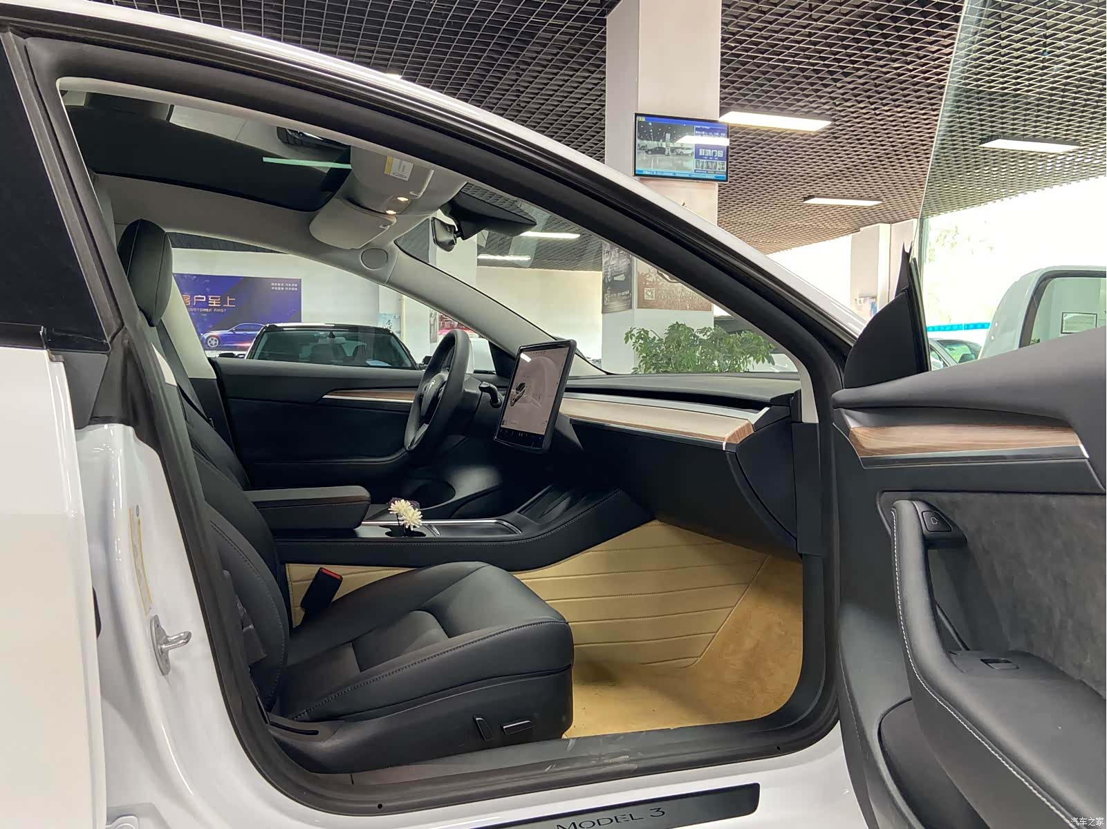 Tesla Model 3, 2023 13