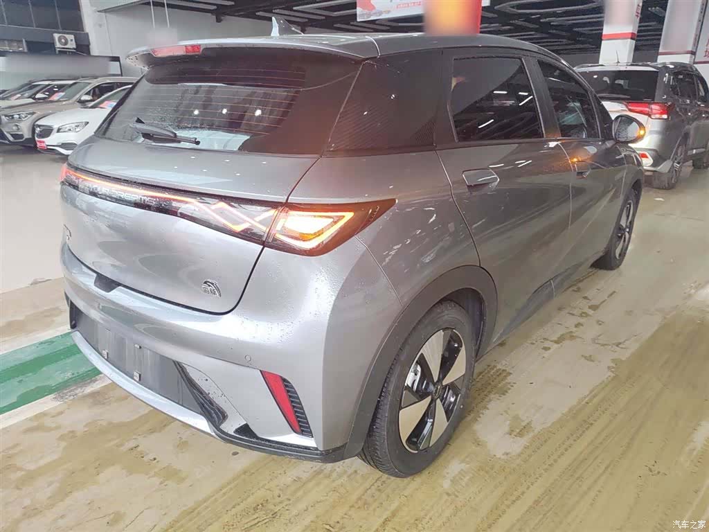 BYD Dolphin, 2024 7