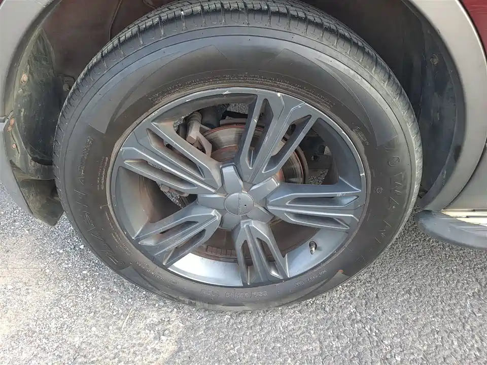 Leopaard Cheetah CS10