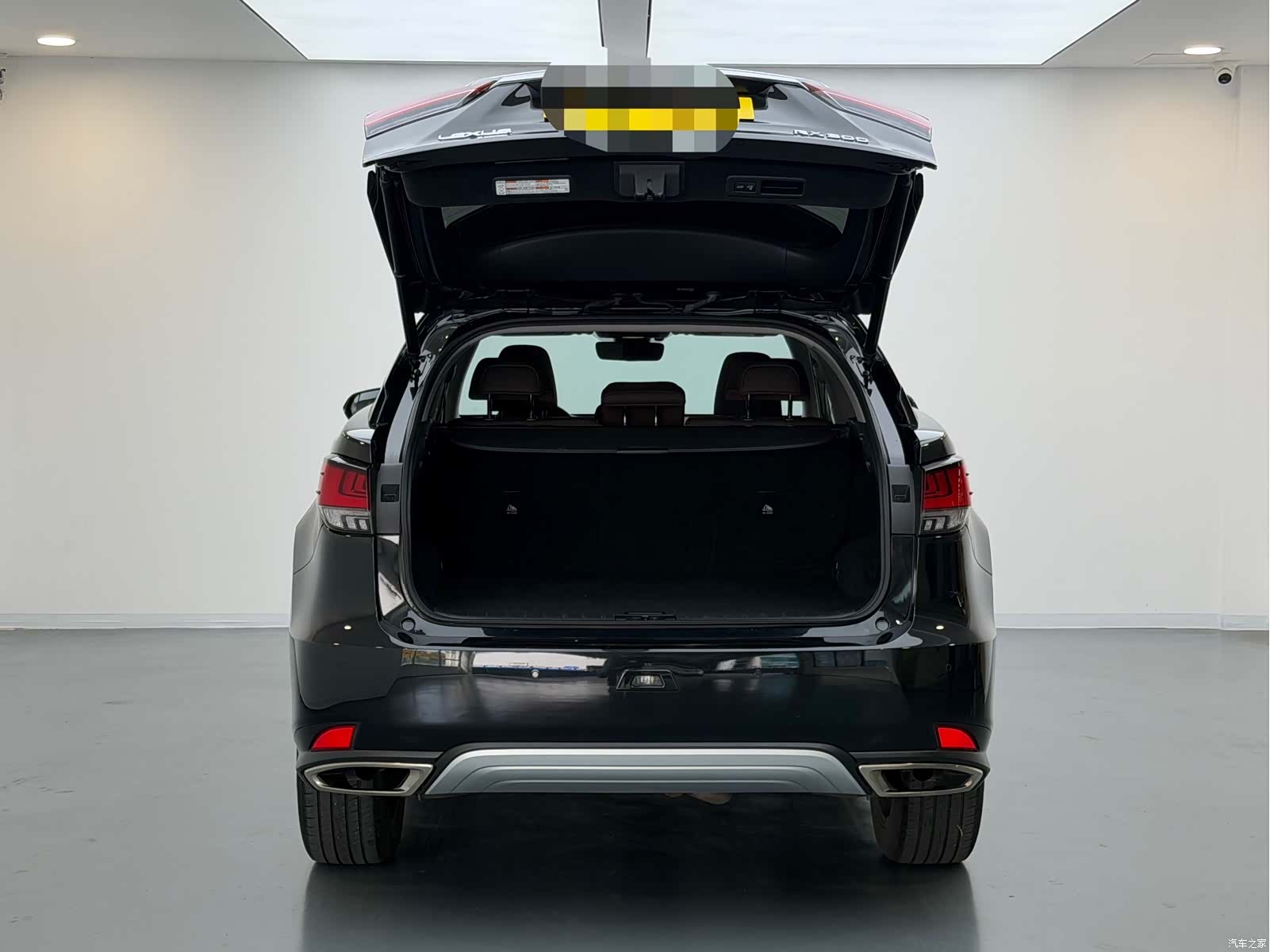 Lexus RX, 2022 7