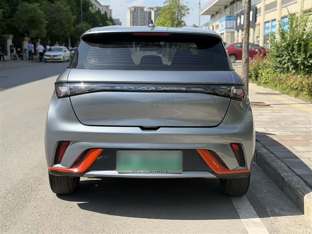 BYD Dolphin, 2022 8