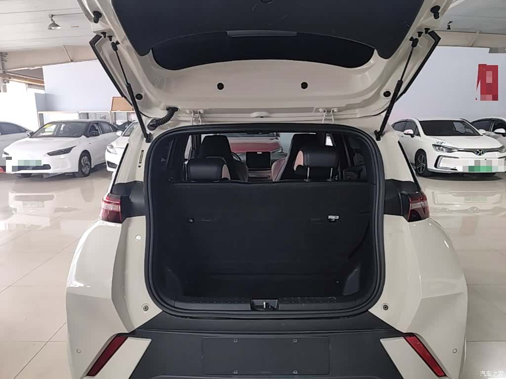 BYD Seagull, 2024 19
