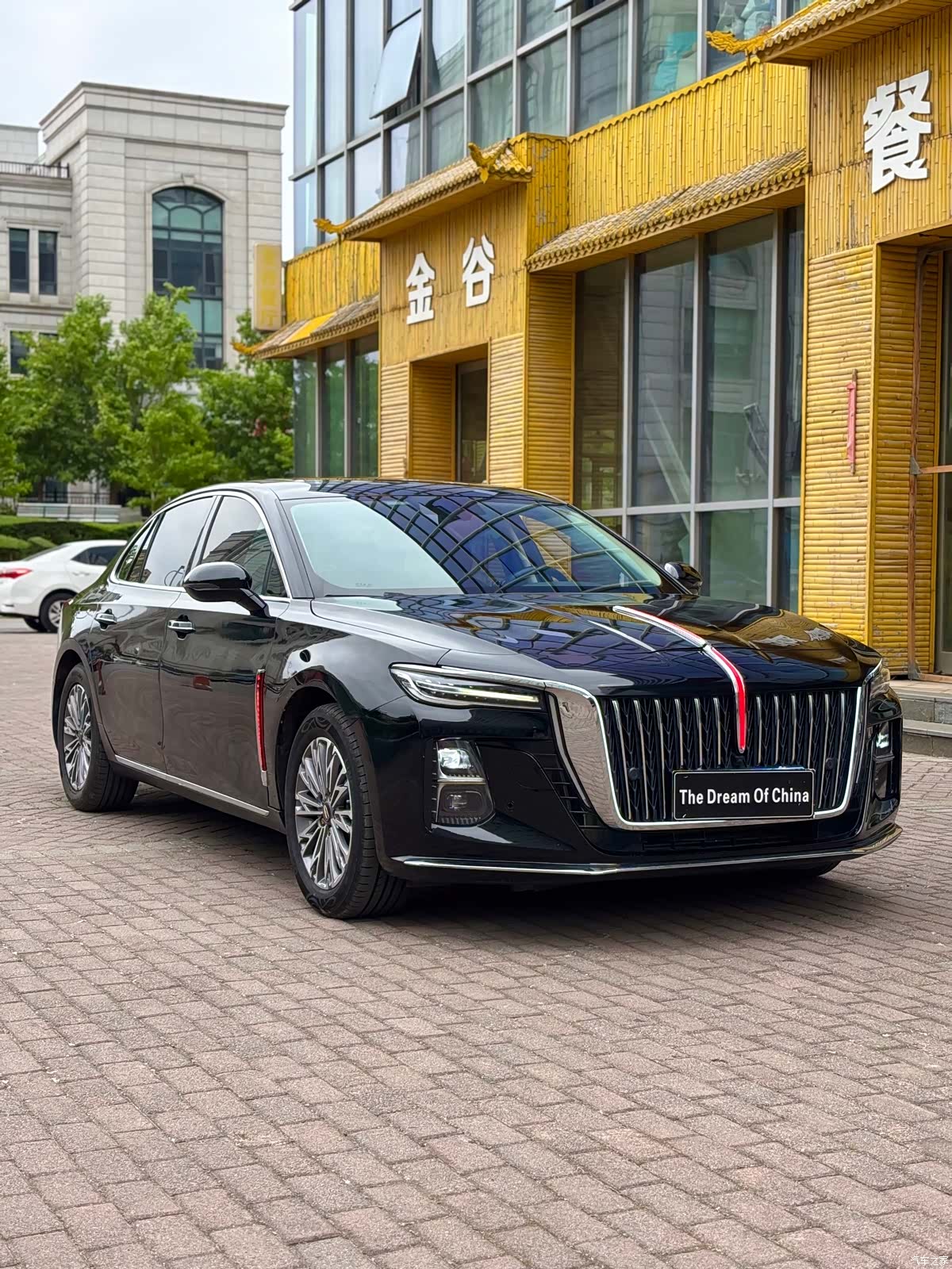 Hongqi H5, 2023 9