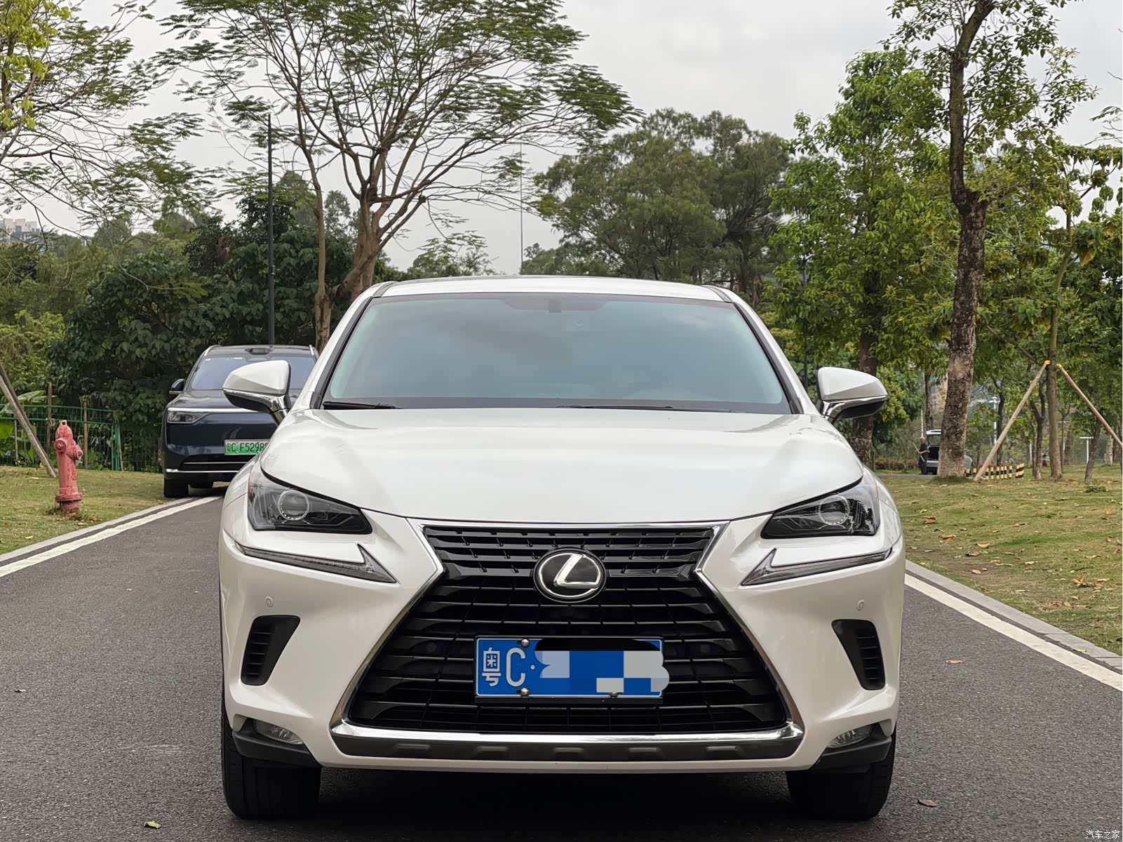 Lexus NX, 2019 2