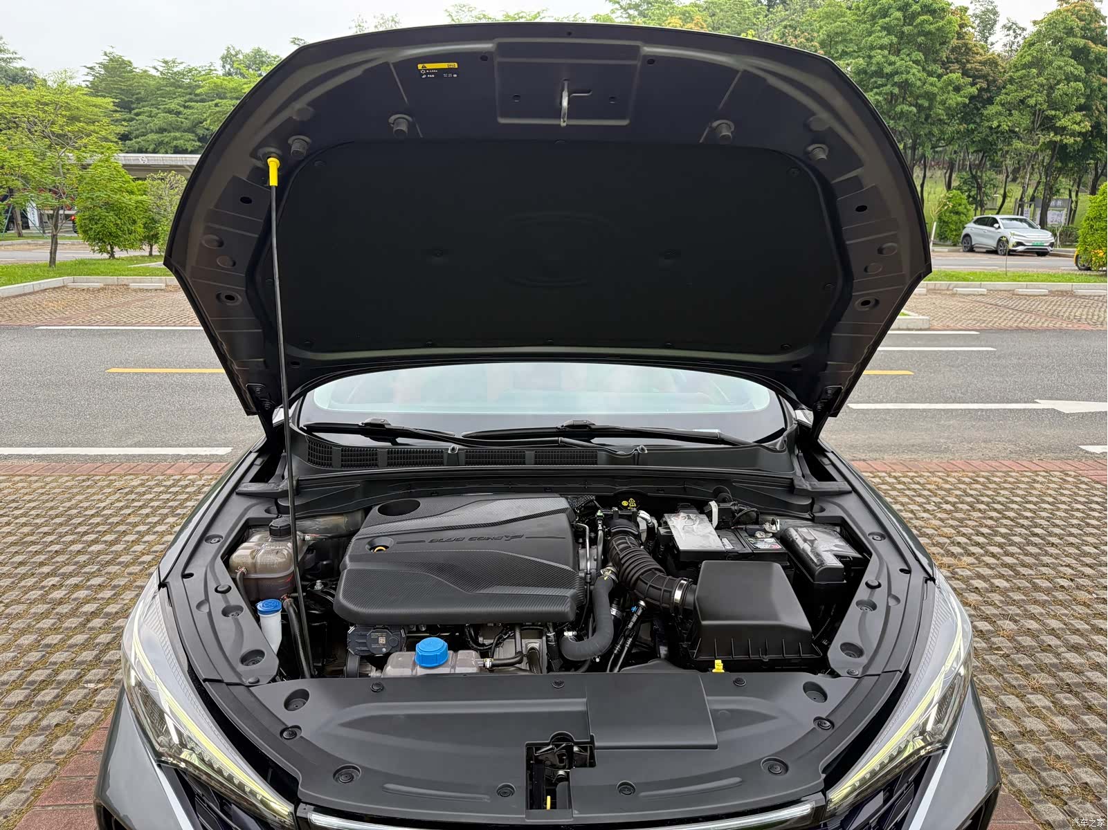 Changan Eado, 2022 25
