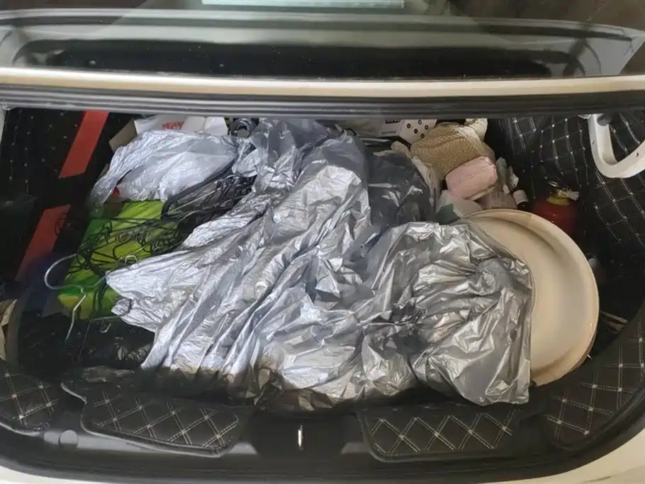 Trumpchi Shadow Leopard