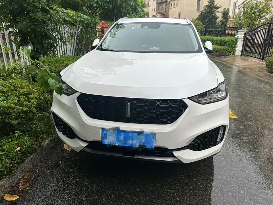 Weipai VV6