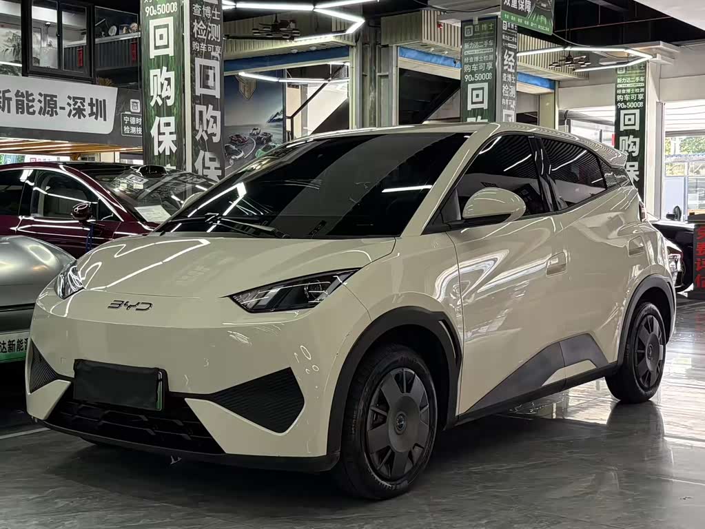 BYD Seagull