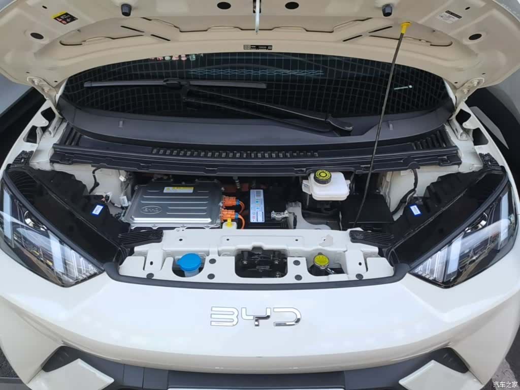 BYD Seagull, 2024 20