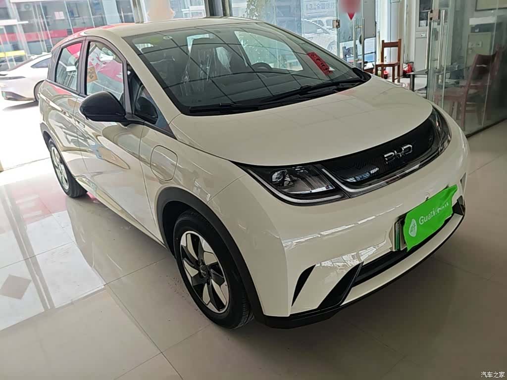 BYD Dolphin, 2026 4