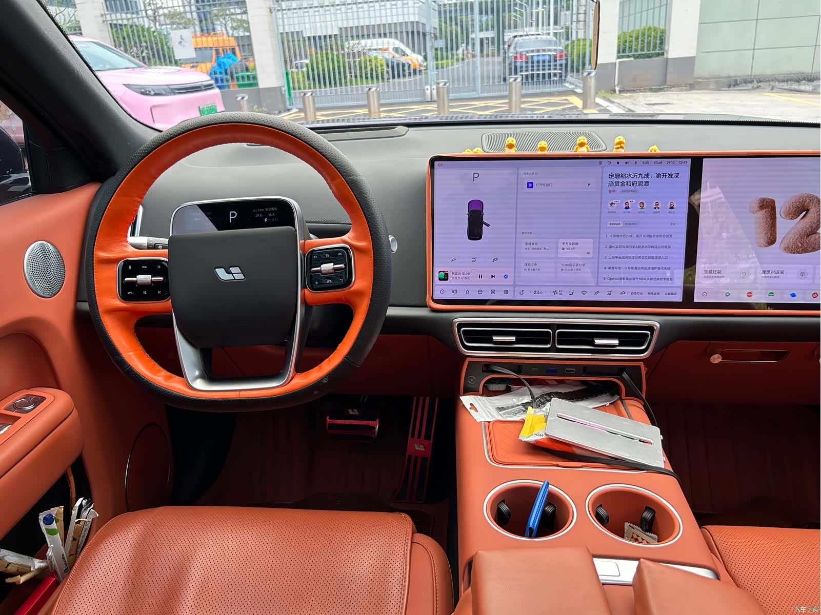 Li Auto L9, 2024 все фото