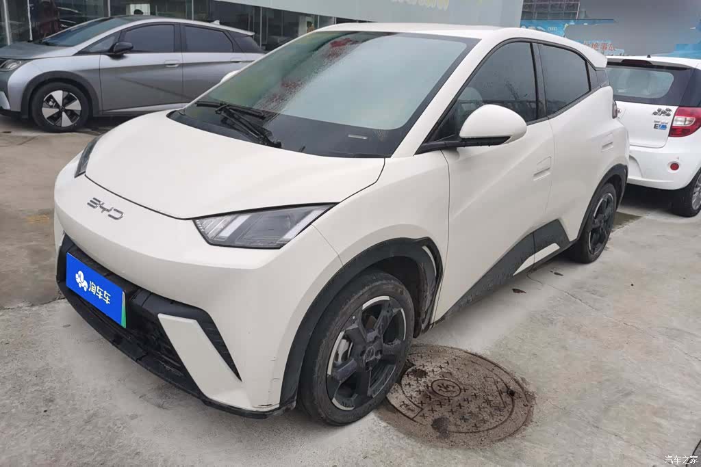 BYD Seagull, 2023 1