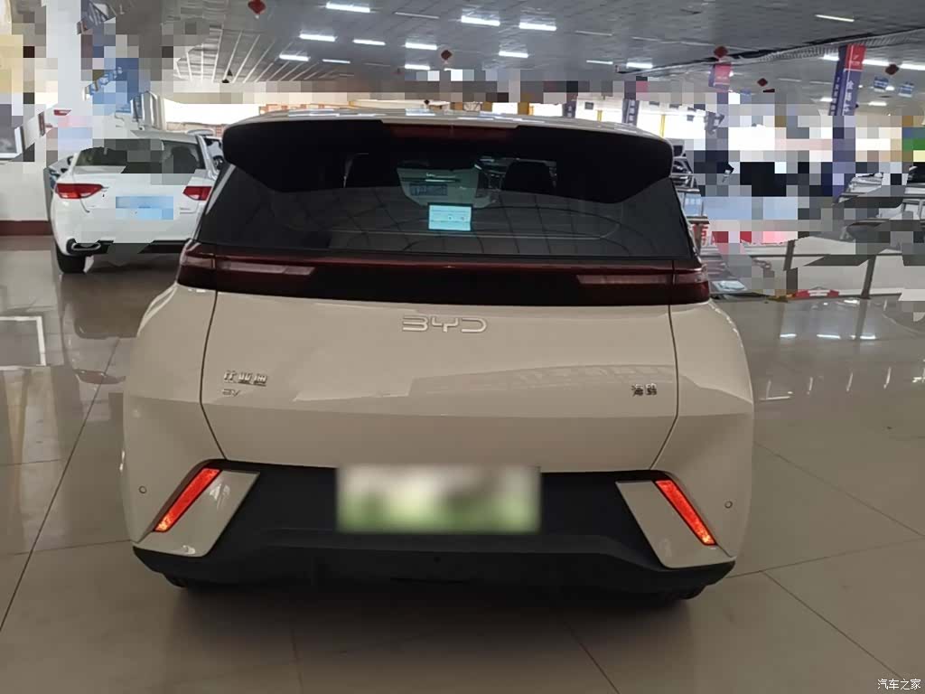 BYD Seagull, 2024 6