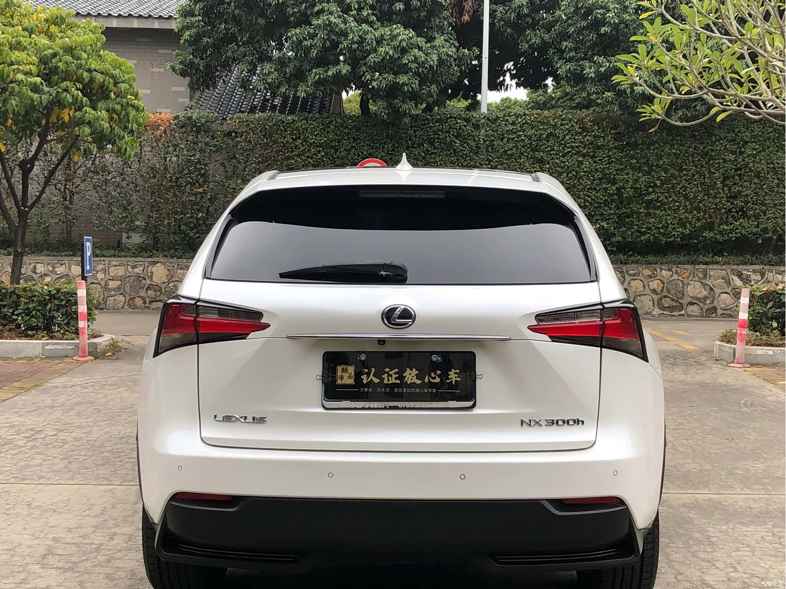 Lexus NX, 2016 все фото