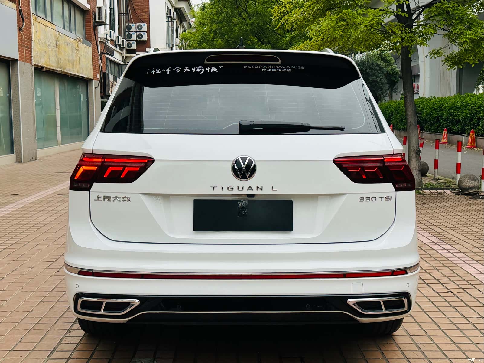 Volkswagen Tiguan L, 2023 8