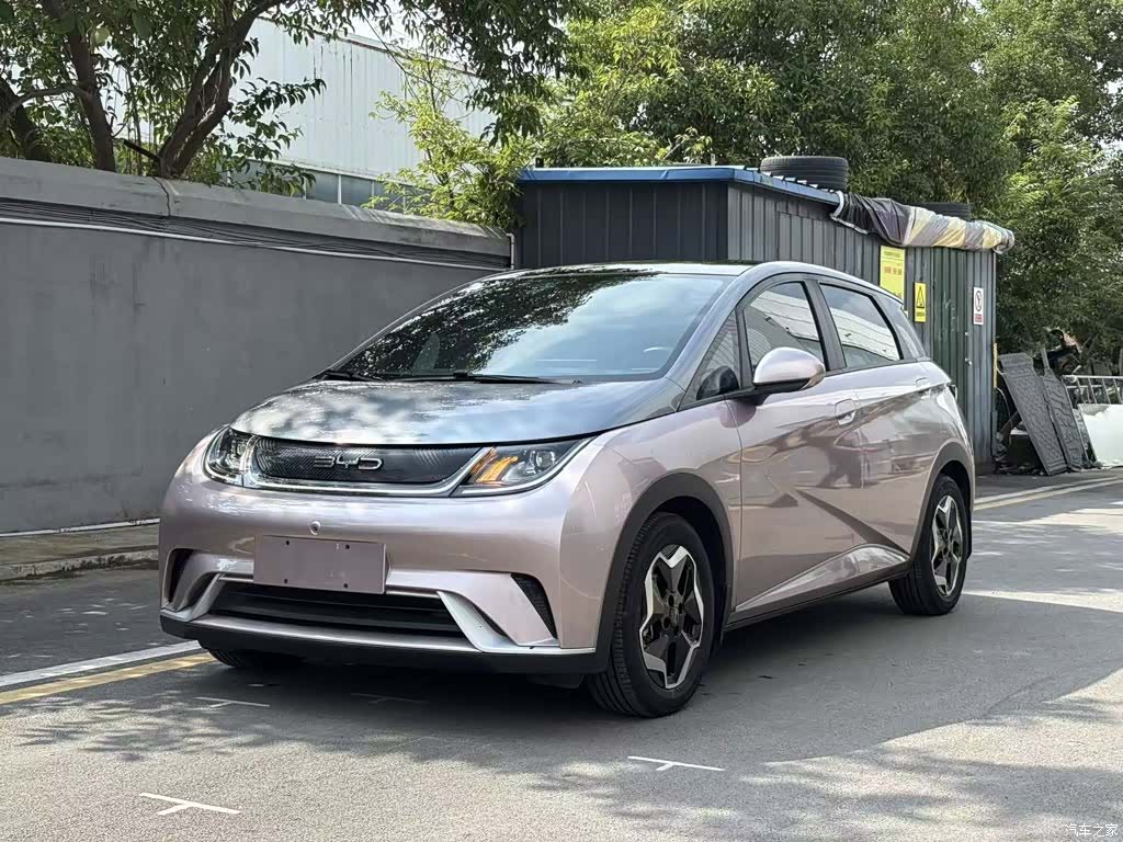 BYD Dolphin, 2022 2