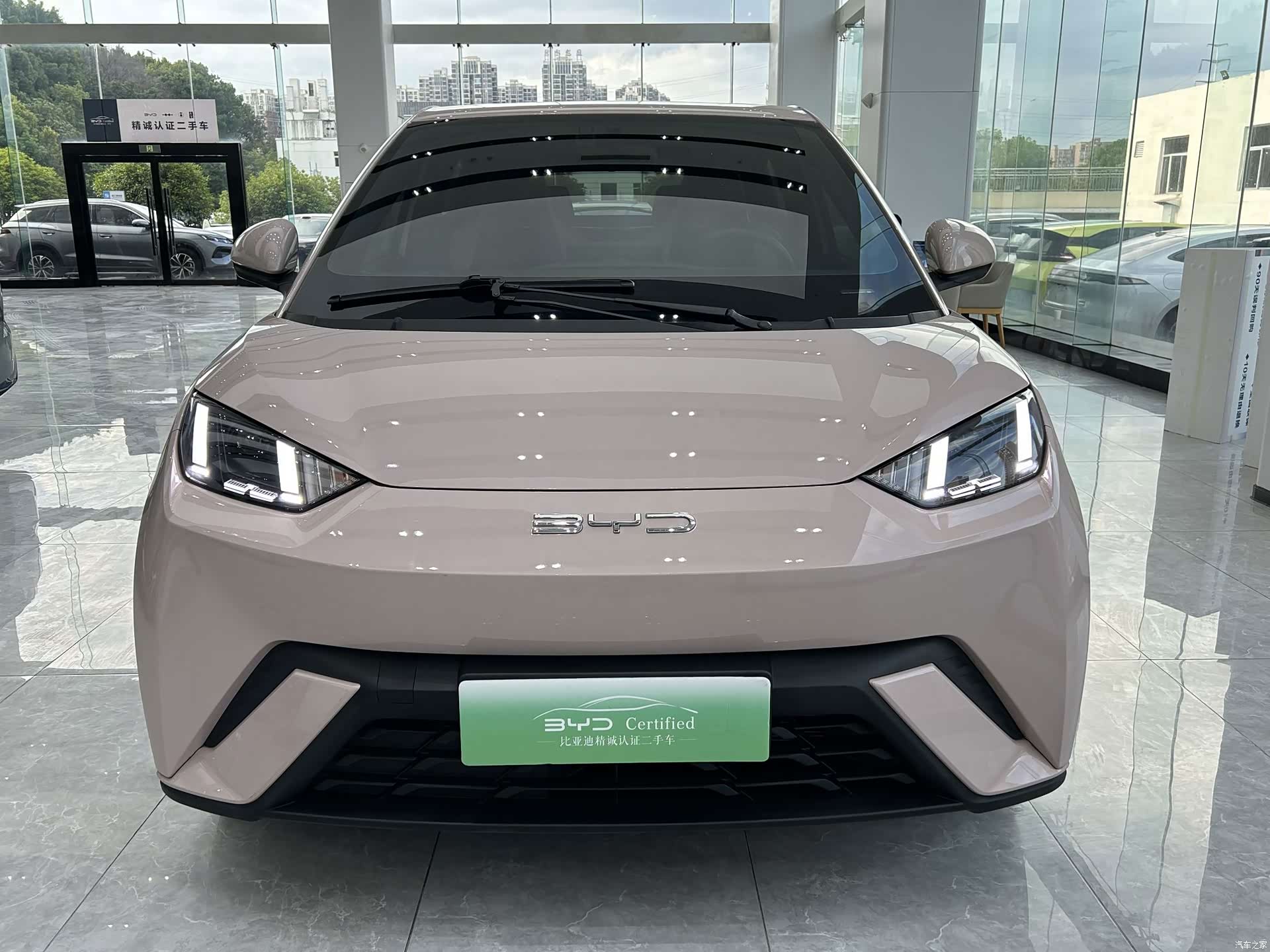 BYD Seagull, 2024 2