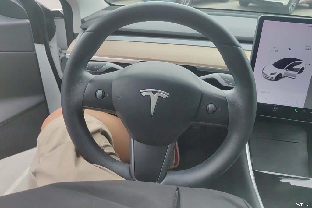 Tesla Model 3, 2020 15