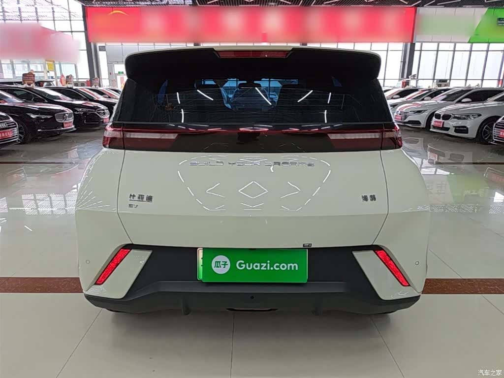 BYD Seagull, 2024 6