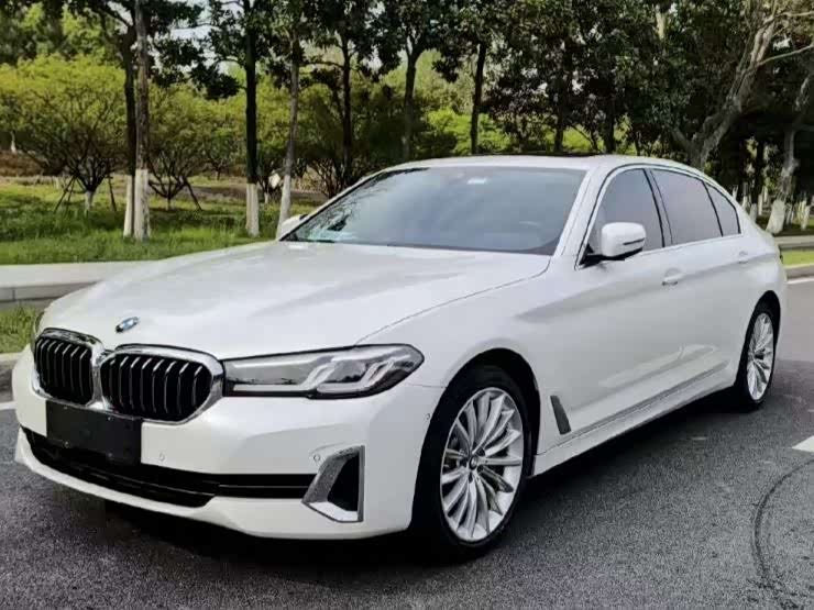 BMW 5 Series 5 2021 530Li Premium Luxury