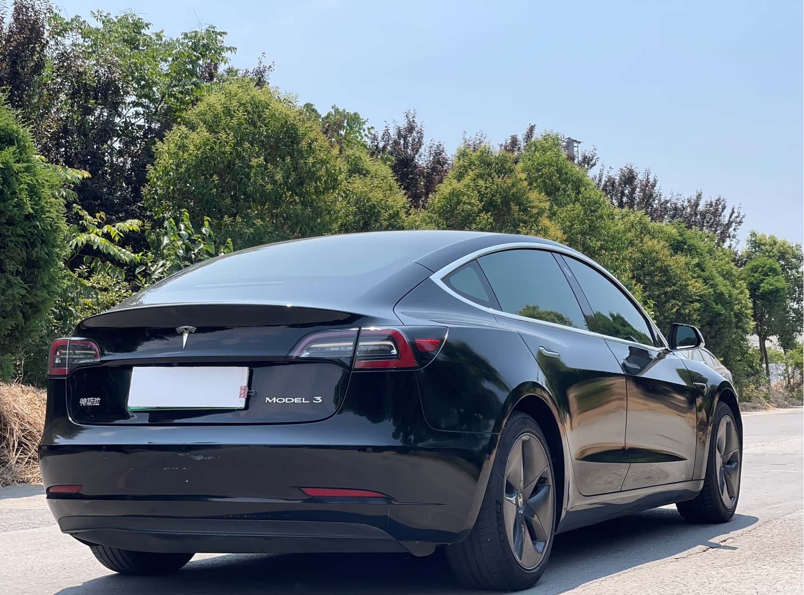 Tesla Model 3, 2021 7