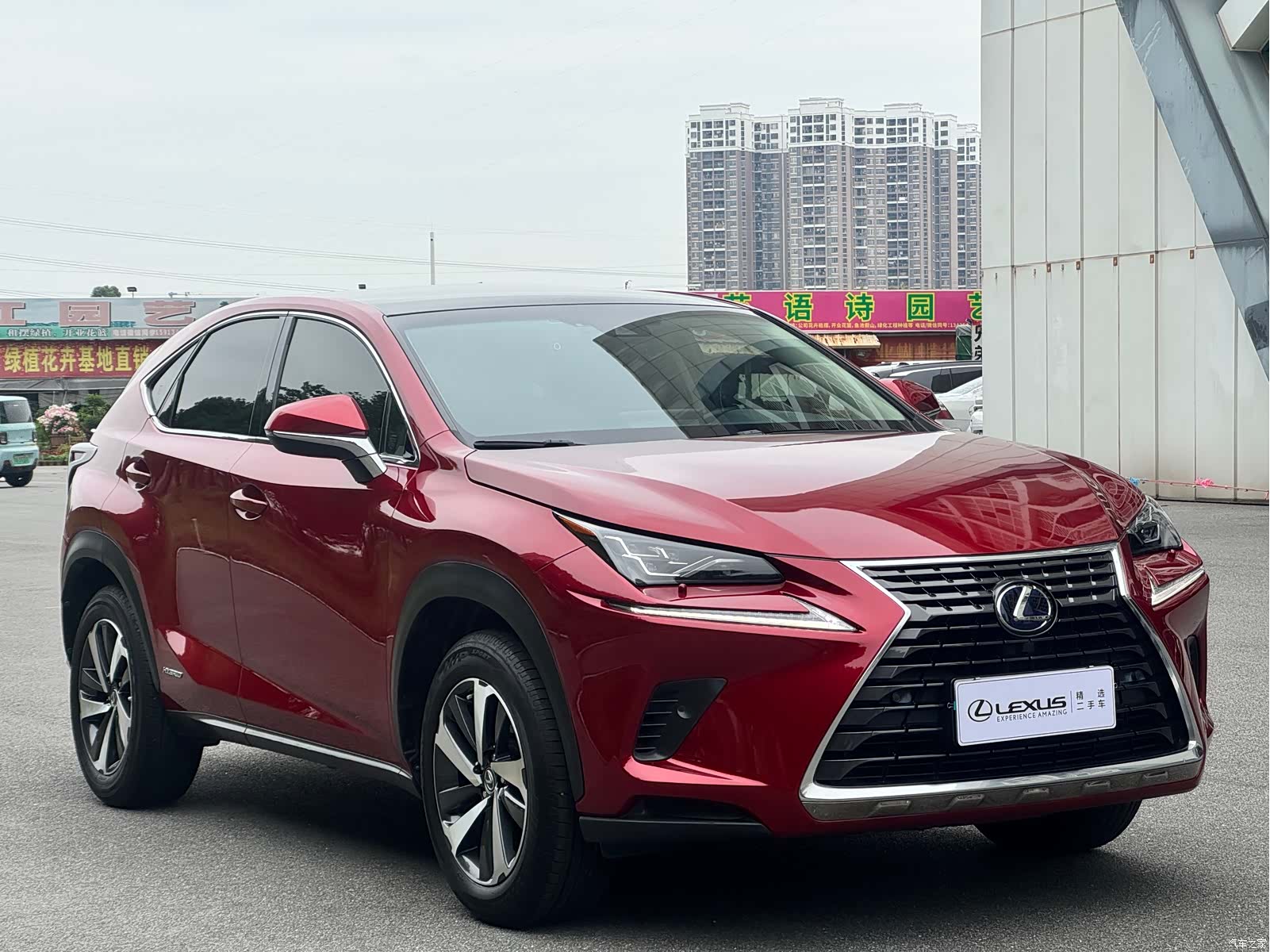 Lexus NX, 2018 3