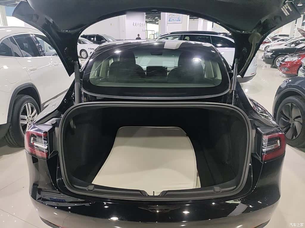 Tesla Model 3, 2021 19