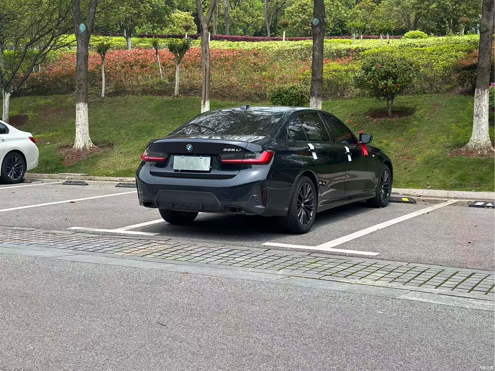 BMW 3 Series, 2024 11