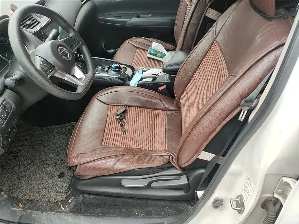 Nissan Sylphy Pure Electric