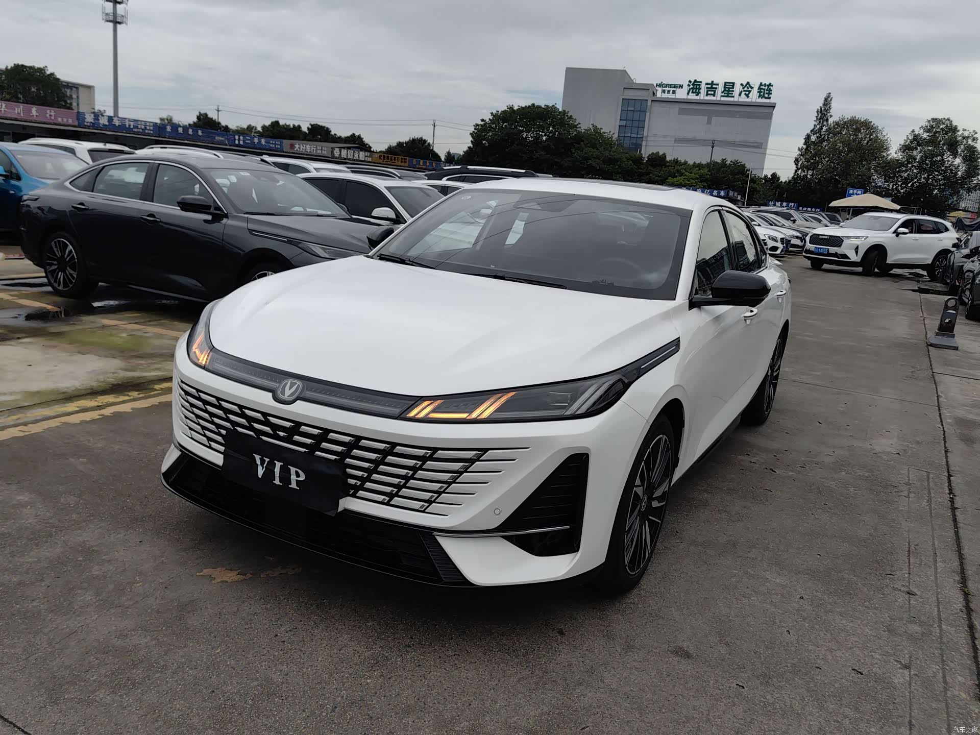 Changan Eado, 2025 1