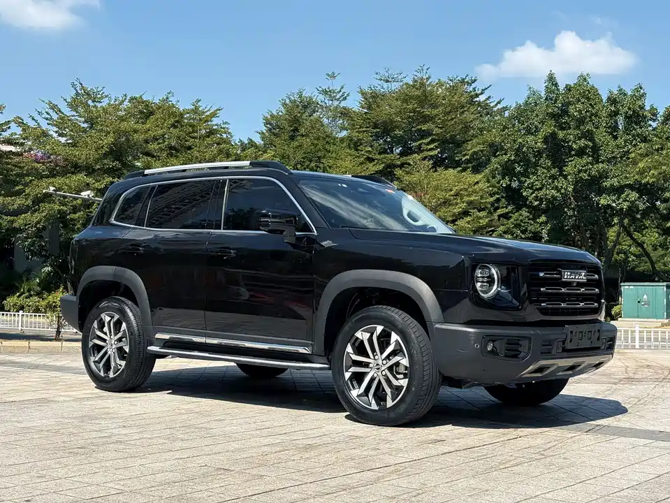 Haval Big dog