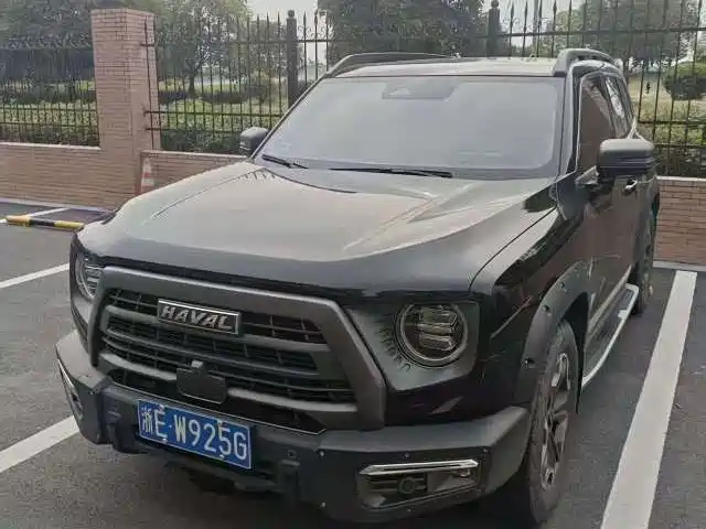 Haval Big dog