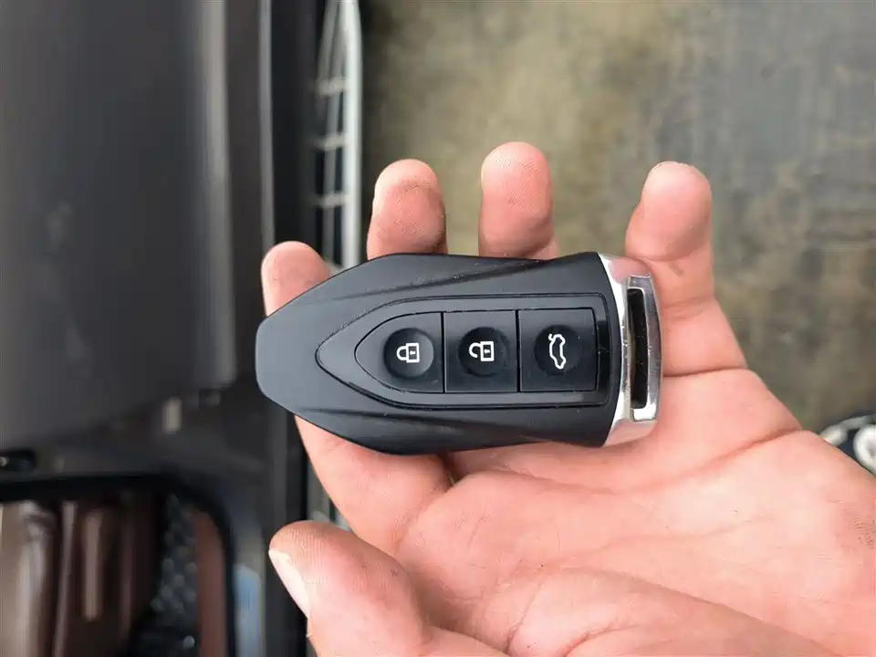 Leopaard Cheetah CS10