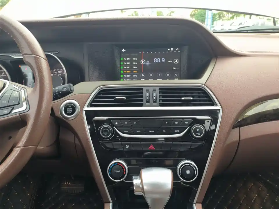 Leopaard Cheetah CS10