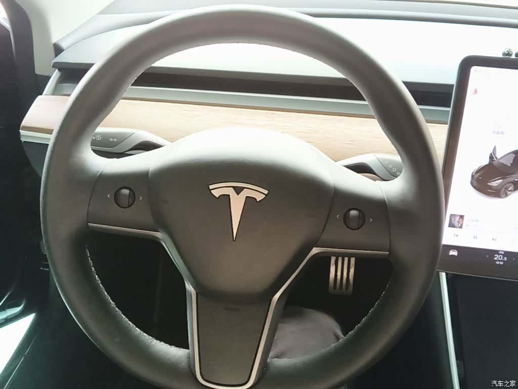 Tesla Model 3, 2020 11